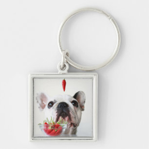 Franse bulledog kijkt naar een rode hond sleutelhanger