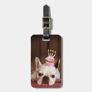 Franse bulledog met Birthday Cupcake Bagagelabel