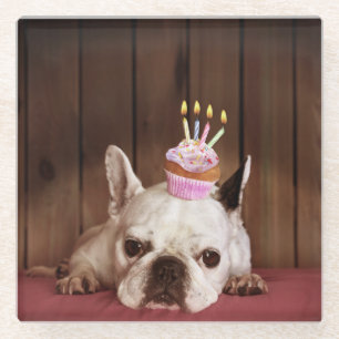 Franse bulledog met Birthday Cupcake Glazen Onderzetter