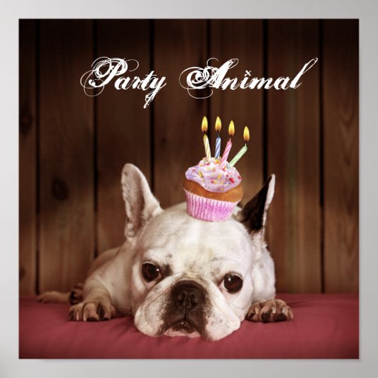 Franse bulledog met Birthday Cupcake Poster (Voorkant)