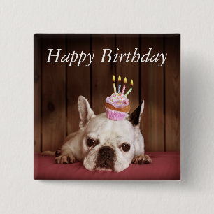 Franse bulledog met Birthday Cupcake Vierkante Button 5,1 Cm