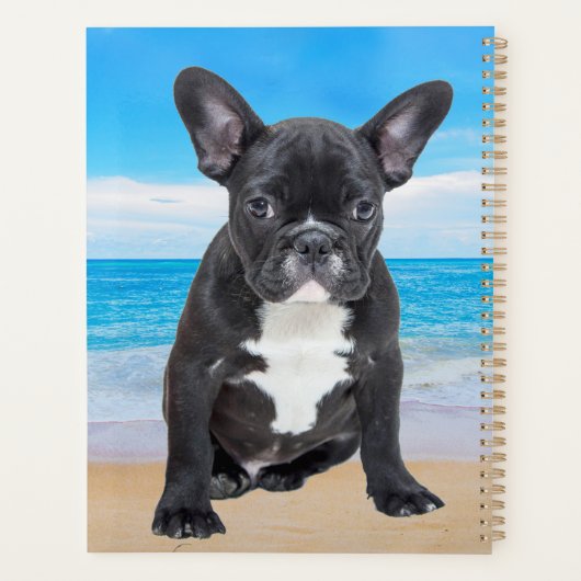 Franse bulledog op strand planner (Achterkant)