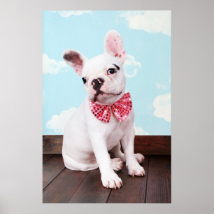 Franse bulledog-puppy met roze hoed poster