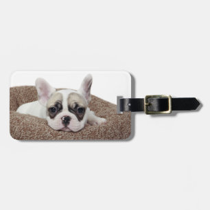 Franse bullehond die een hondenpuppy leit in een h bagagelabel