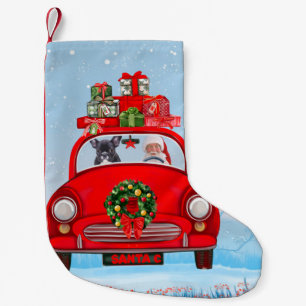 Franse bullehond in auto met kerstman kleine kerstsok