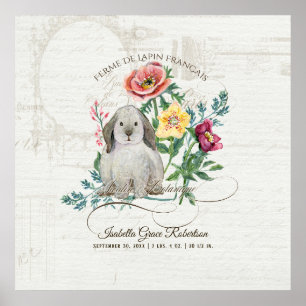 Franse Bunny Rabbit Boerderij Baby Naam in Stats Poster
