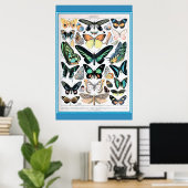 -Franse Butterflies Cotvoordcore Poster (Thuiskantoor)