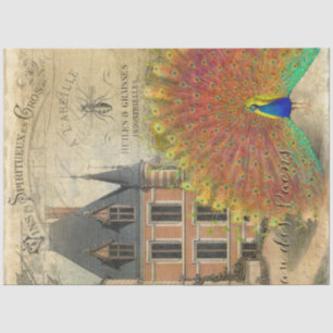 Franse  Chateau Peacock Ephemera-ontkoppeling Tissuepapier