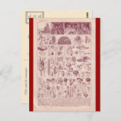 Franse Encyclopedia 1920, paddenstoelen Briefkaart (Voorkant / Achterkant)