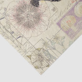 Franse ephemera Art Nouveau Flower Fish Tissuepapier (Detail)