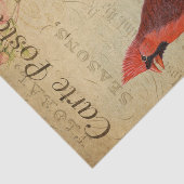 Franse ephemera kardinaal vogelroze rozen ontkoppe tissuepapier (Detail)