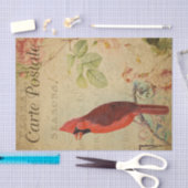 Franse ephemera kardinaal vogelroze rozen ontkoppe tissuepapier (Craft)