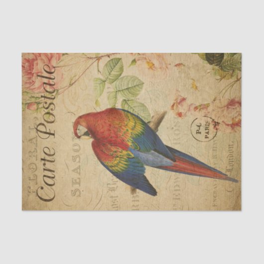 Franse ephemera Red Yellow Macaw Floral ontleedpag Tissuepapier (Voorkant)