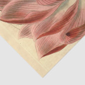  Franse Floral Ephemera Decoupage Roze Tiss Tissuepapier (Detail)