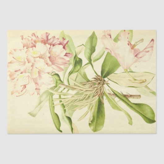  Franse Floral Ephemera Decoupage Roze Tiss Tissuepapier (Voorkant)