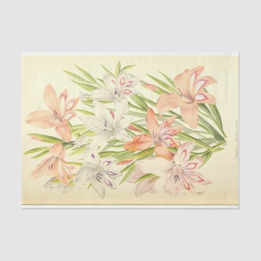  Franse Floral Ephemera Decoupage Roze Tiss Tissuepapier (Voorkant)