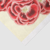  Franse Floral Ephemera ontkoppeling Roze Tissuepapier (Detail)