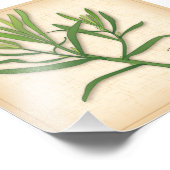 Franse foto van Tarragon Herb Foto Afdruk (Hoek)