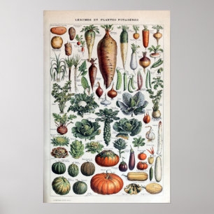  Franse groenten en plantaardige Planten Poster