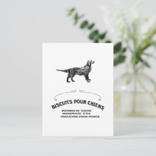 Franse hond, Antiek Dog Biscuit en mode Briefkaart (Staand voorkant)