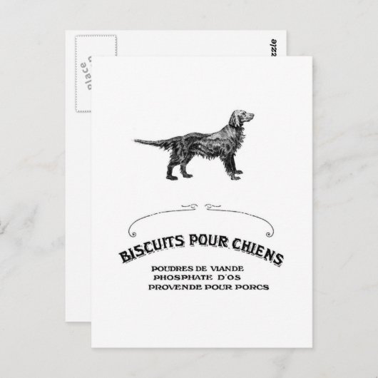 Franse hond, Antiek Dog Biscuit en mode Briefkaart (Voorkant / Achterkant)