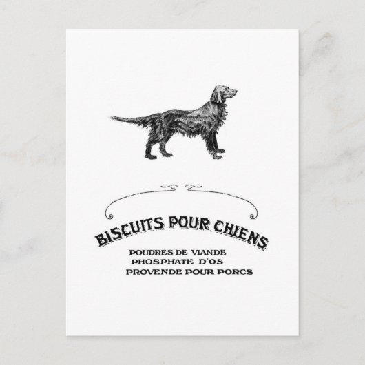 Franse hond, Antiek Dog Biscuit en mode Briefkaart (Voorkant)