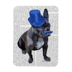 Franse hond met blauwe bovenste hak en snor magneet
