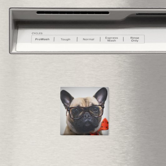 Franse hond met bril en Stropdas Magneet (Insitu (Vaatwasser))