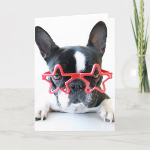 Franse hond met rode Star-bril Kaart
