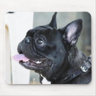 Franse hond muismat