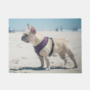 Franse hond op strand deurmat