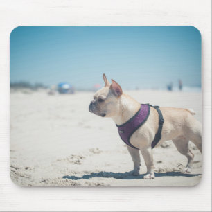 Franse hond op strand muismat