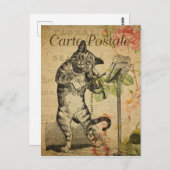  Franse kat die de gewelddadigheden speelt Briefkaart (Voorkant / Achterkant)