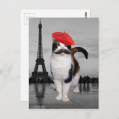 Franse kat in Parijs Briefkaart (Voorkant / Achterkant)