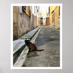 Franse kat poster