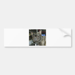 franse knuppel bumpersticker