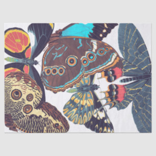 franse krant der nieuwe butterflies tissuepapier