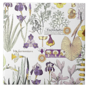 Franse kunstgreep  ventilatorkeramische tegel tegeltje