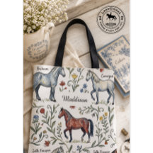 Franse Landelijke Paardenschool