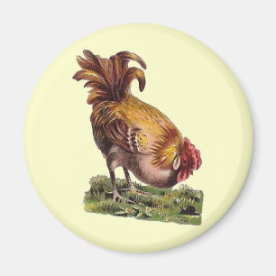  Franse landnummer Rooster Fridge Magnet Magneet