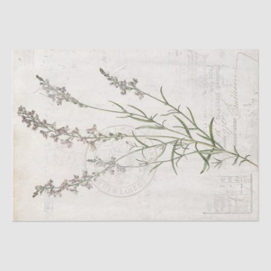 Franse  Lavendel Botanische Bloemen Decoupage Tissuepapier (Voorkant)