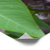 Franse Lilacs Poster (Hoek)