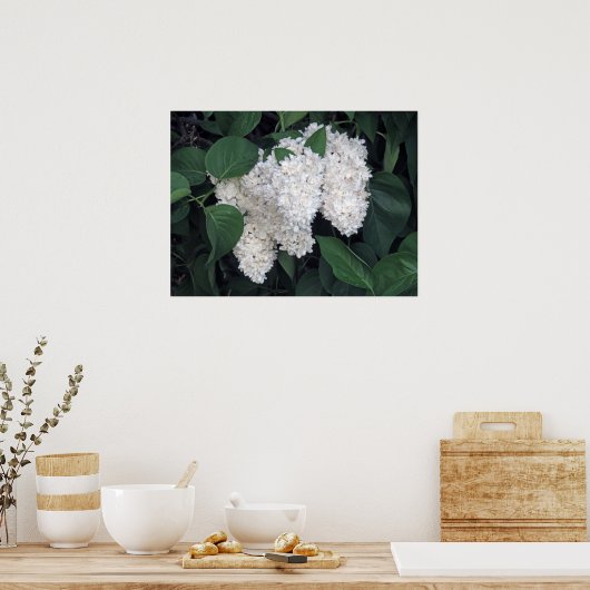 Franse Lilacs Poster (Keuken)