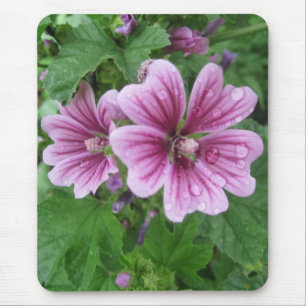 Franse Mallows Photo Mousepad Muismat