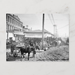 Franse markt in New Orleans, 1906 Briefkaart
