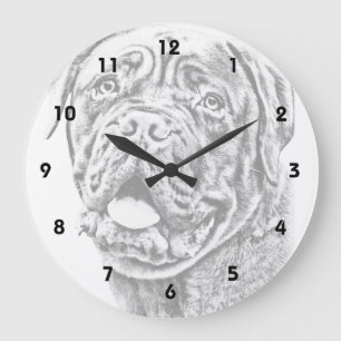 Franse Mastiff Grote Klok