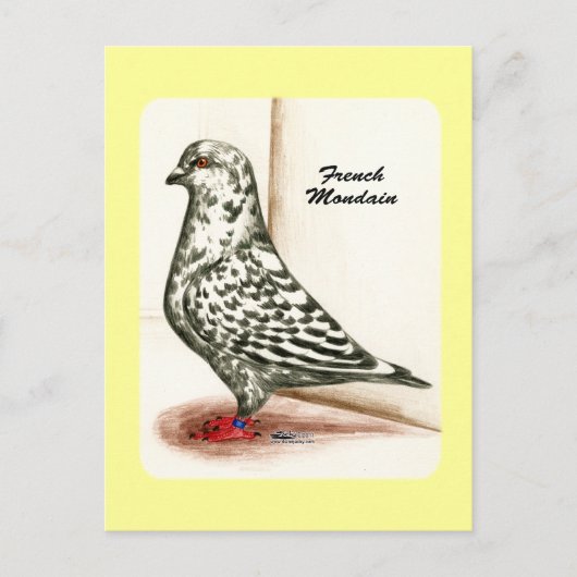 Franse Mondain 1973 Briefkaart (Voorkant)