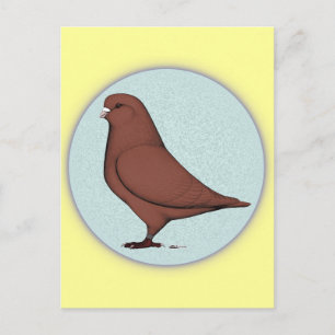 Franse Mondain Pigeon Circle Briefkaart