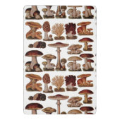 franse  paddenstoelenbos botanisch mini klembord (Achterkant)