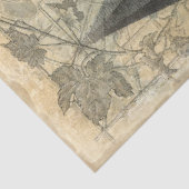 Franse  pagina van het Manuscript van Chateau Ephe Tissuepapier (Detail)